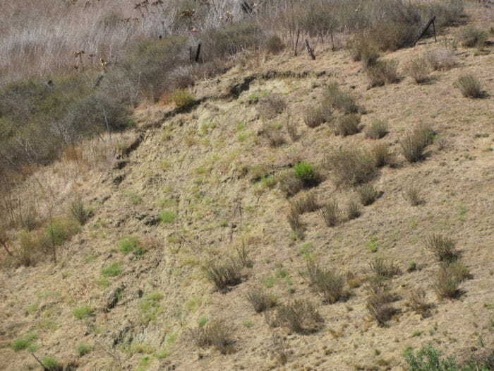 Soil movement
