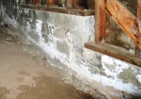 White Powdery Mildew On Basement Walls - Picture of Basement 2020