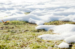 Melting snow and freezing