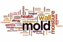 Mold in a house