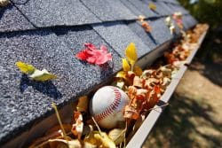 Gutter filled with leaves and baseball