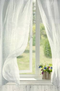 Window curtains breeze