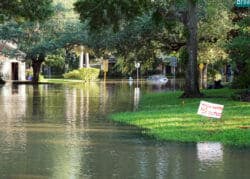 Standing flood water