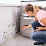 Mold in Hidden Places: A Checklist Of Where To Look In Your Home