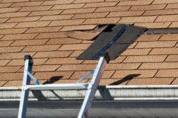 Damaged shingles on roof