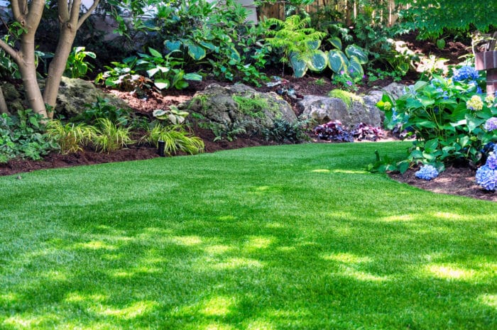 Fake grass backyard with natural plants