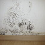 Mold on a home wall