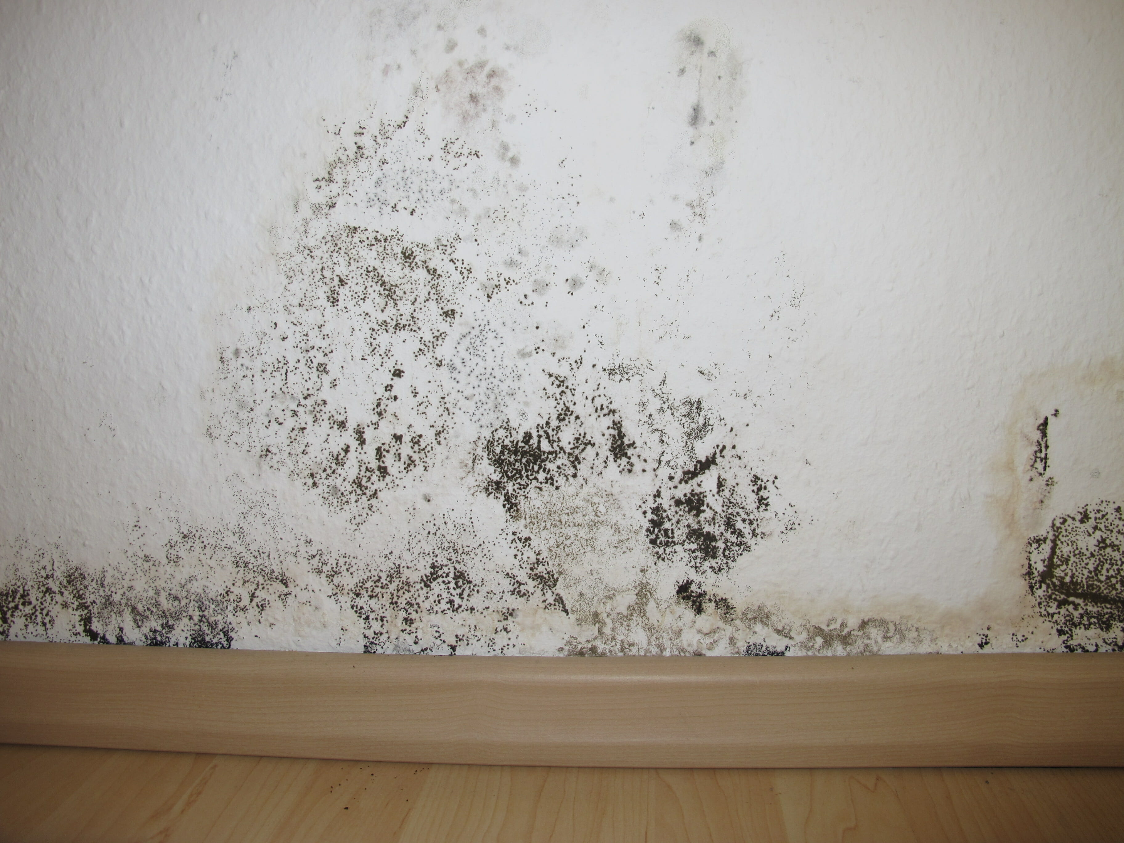 Drywall Cracks Cosmetic or Structural Buyers Ask