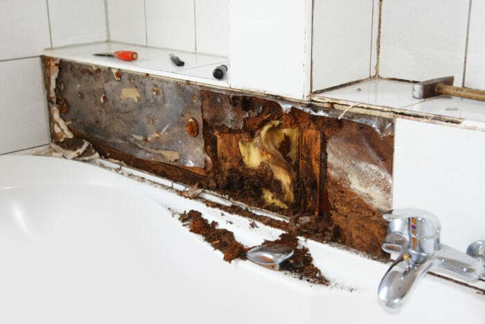 Mold in kitchen and bathroom