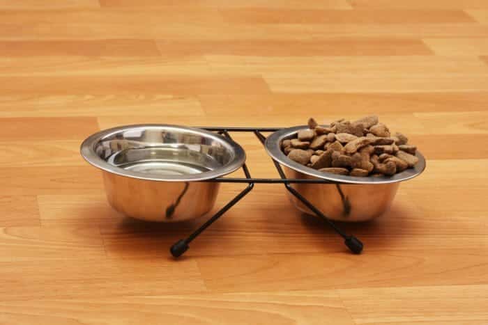 Dog water and feed bowl