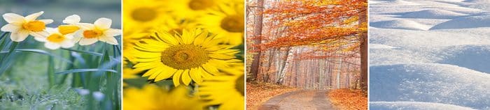 4 seasons