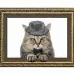 Cat in picture frame