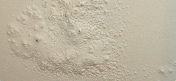 Blistering Paint Ers Ask - Paint Bubbles On Exterior Walls From Moisture