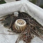 Clogged Drains and Debris Build-up on Flat Roofs