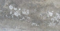 Deteriorated concrete