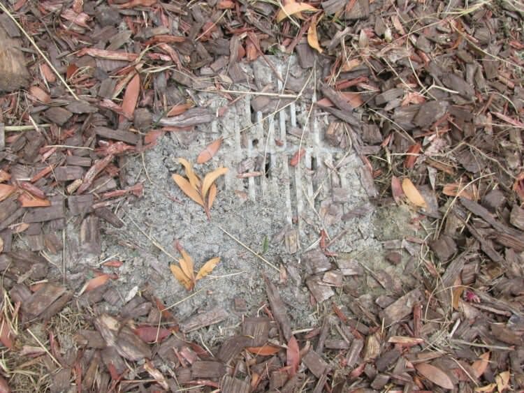 Clogged Yard Drains - Buyers Ask