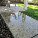 Walks and Patios: Look for Proper Drainage and Trip Hazards