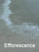 Efflorescence