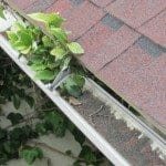 Clogged Gutters: Clean And Check For Siding Damage