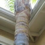 Rusted, Bent or Damaged Gutters