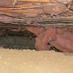 Insulation – Out Of Place Under The Home
