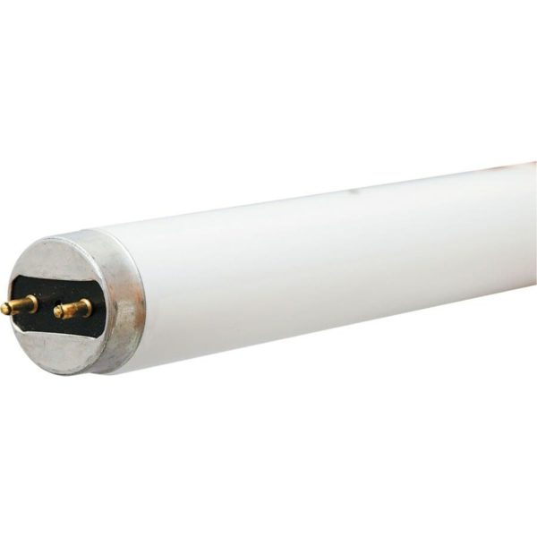 Flickering Fluorescent Lights - Buyers Ask
