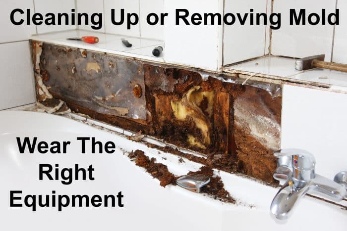 What to wear when removing mold
