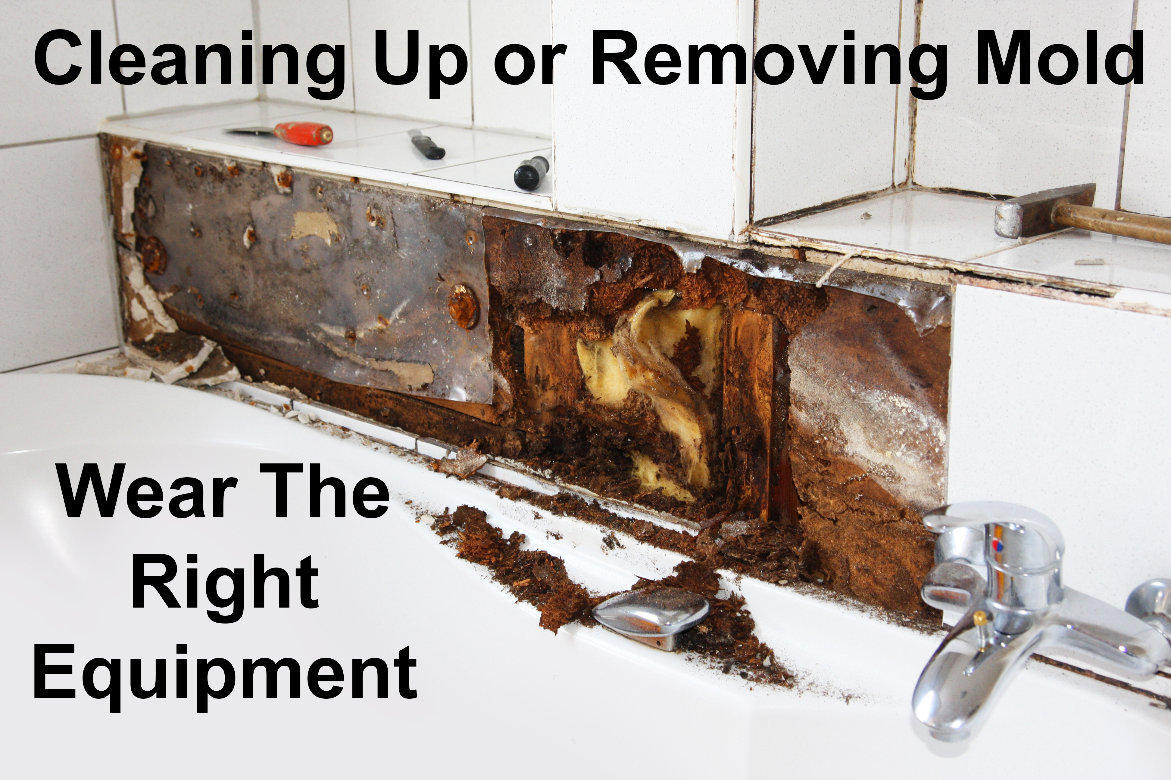 What to wear when removing mold