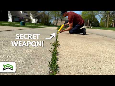 Effective Strategies for Driveway and Sidewalk Weed Control and Maintenance