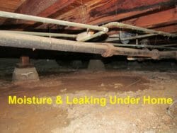 Crawl space leaks and moisture