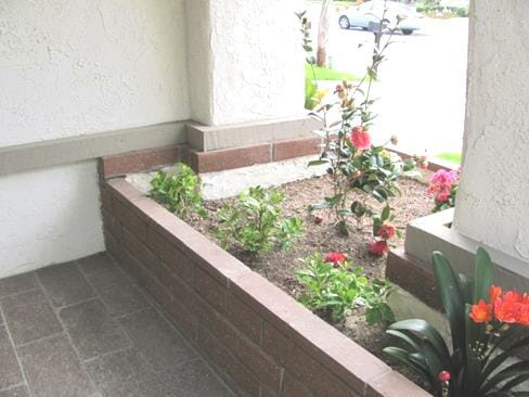 Planter against a homes wall