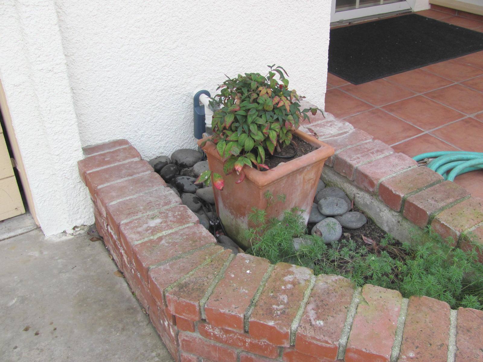Planters Against A Home Can Cause Damage And Mold Buyers Ask