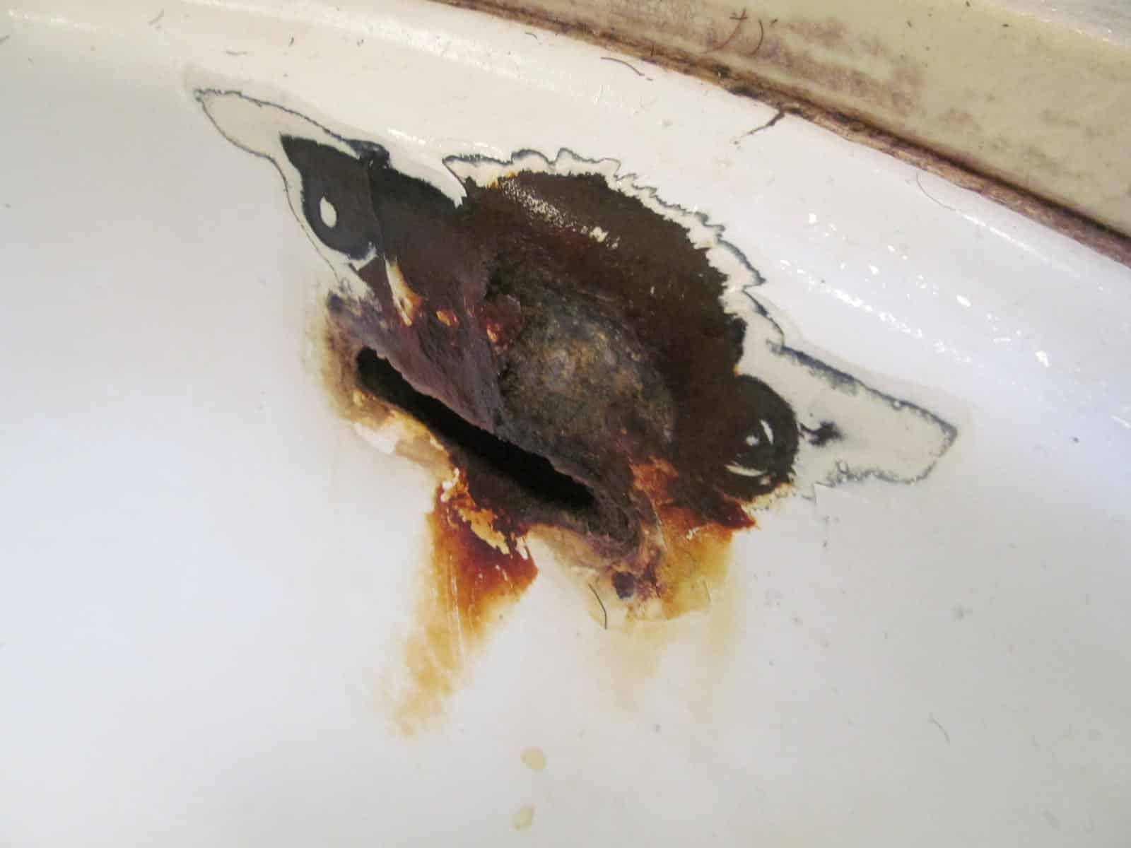 rust looking bathroom sinks