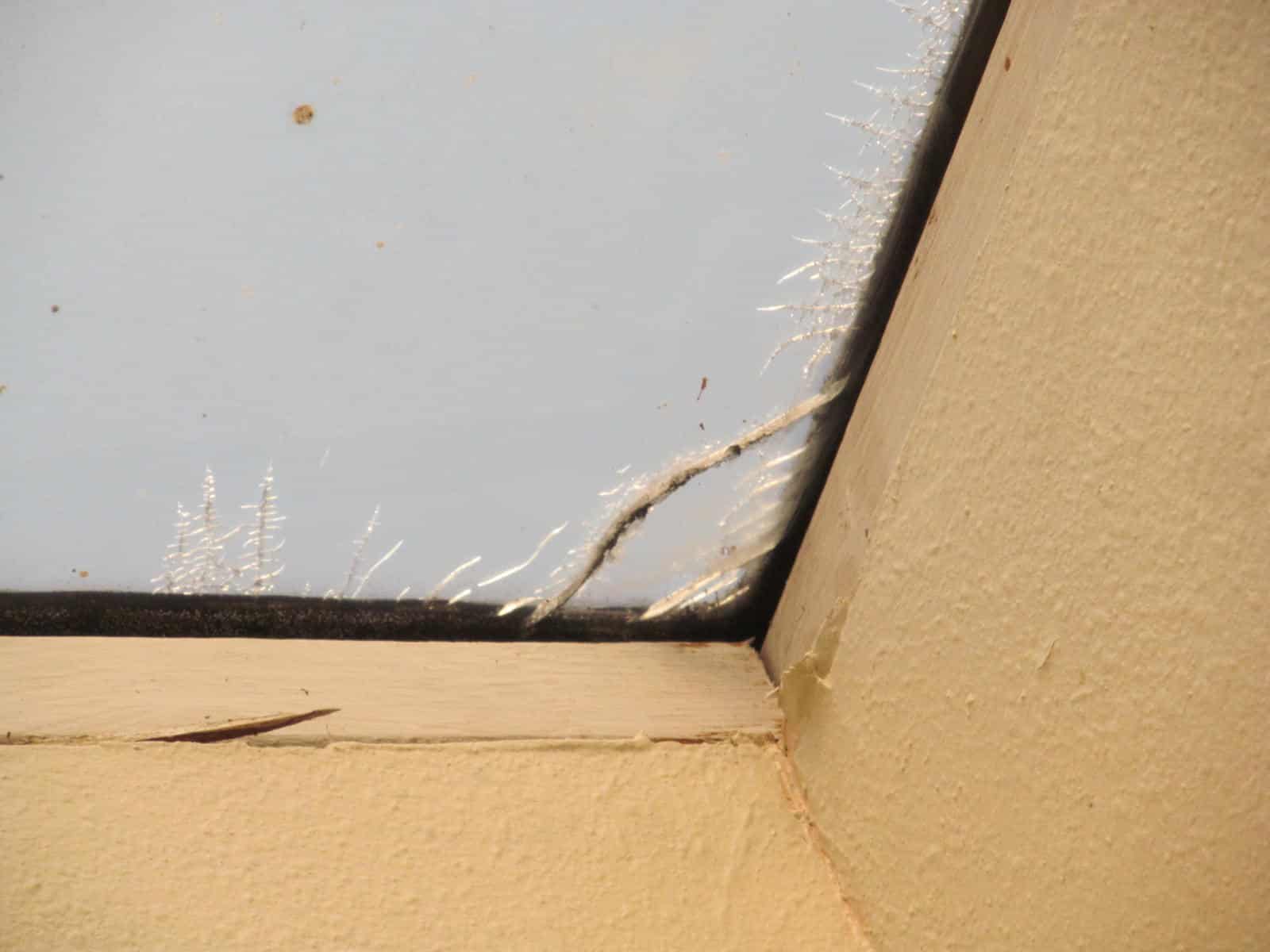 Cracked Or Damaged Skylight Buyers Ask