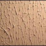 Stippling – Unwanted Paint Roller Marks