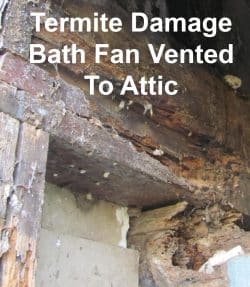 Termite damage caused from bath fan moisture