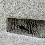 Vent screen holed or damaged