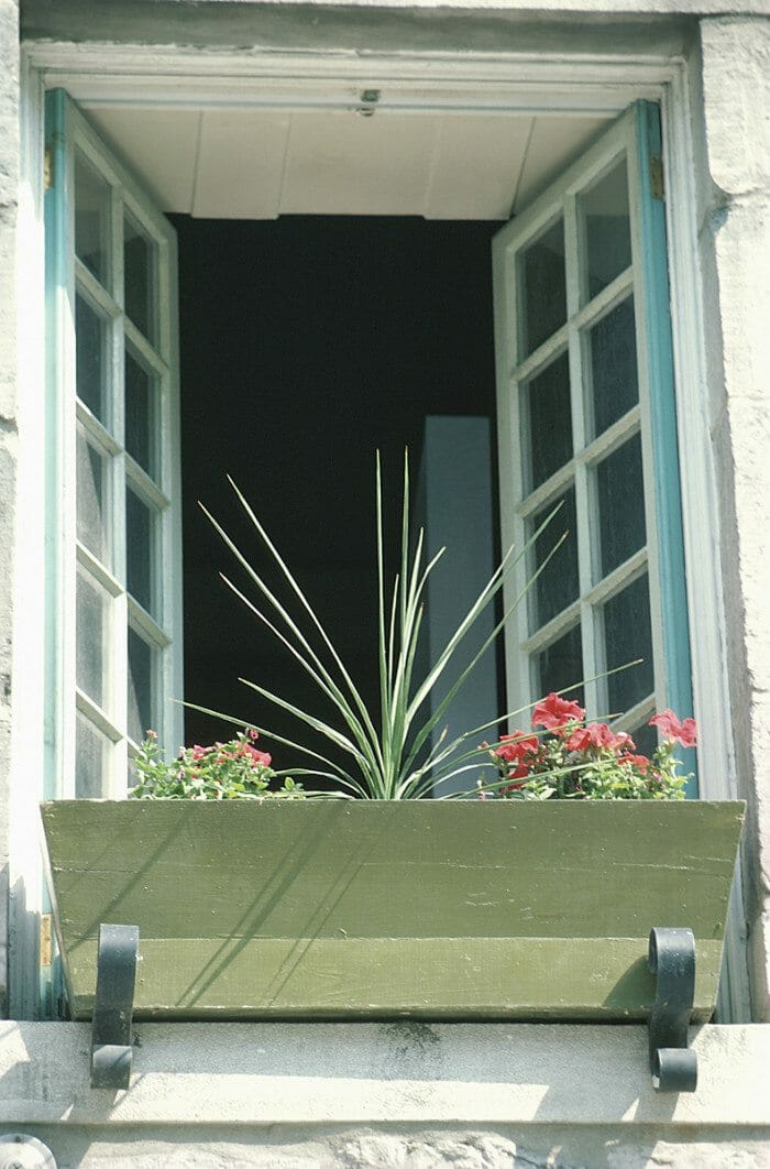 Window