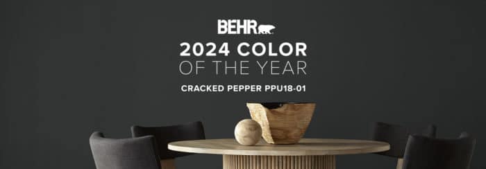 Behr Cracked Pepper Color Swatch