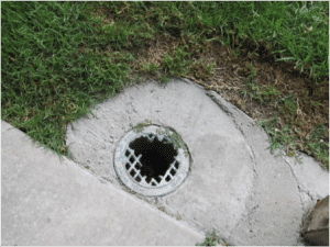 damaged drain cover