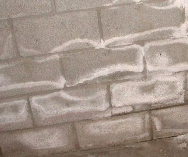 Retaining Wall with Efflorescence: White Chalky Powdery Look & When A