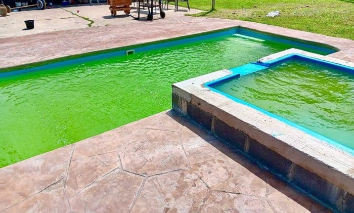 green water and algae issues in a pool