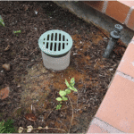 Planters With No or Poor Drainage May Be Causing Damage To Your Home