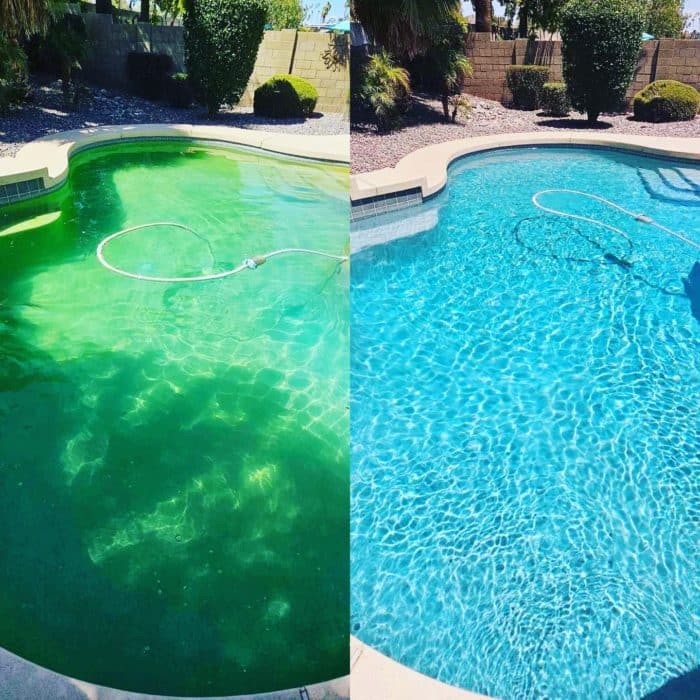 before and after of green algae pool water vs sparkling clear pool water