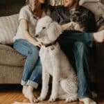 Selling A Home With Pets; What Every Seller Needs To Know