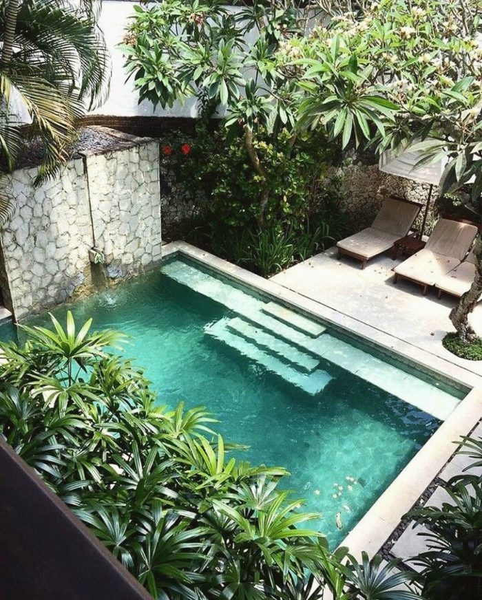 small pool in small backyard with tropical plants surrounding
