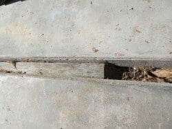 Wood control joint in concrete walk, drive or patio